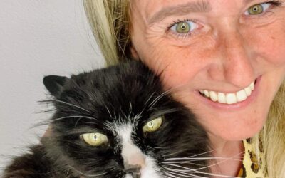 Ringana für Hund, Katze & Pferd? 🌿 Erfahrungsberichte und klare Fakten