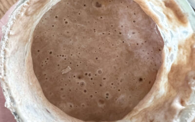 Roggensauerteig URA selbst herstellen – mein Weg zurück zum ursprünglichen Brotbacken