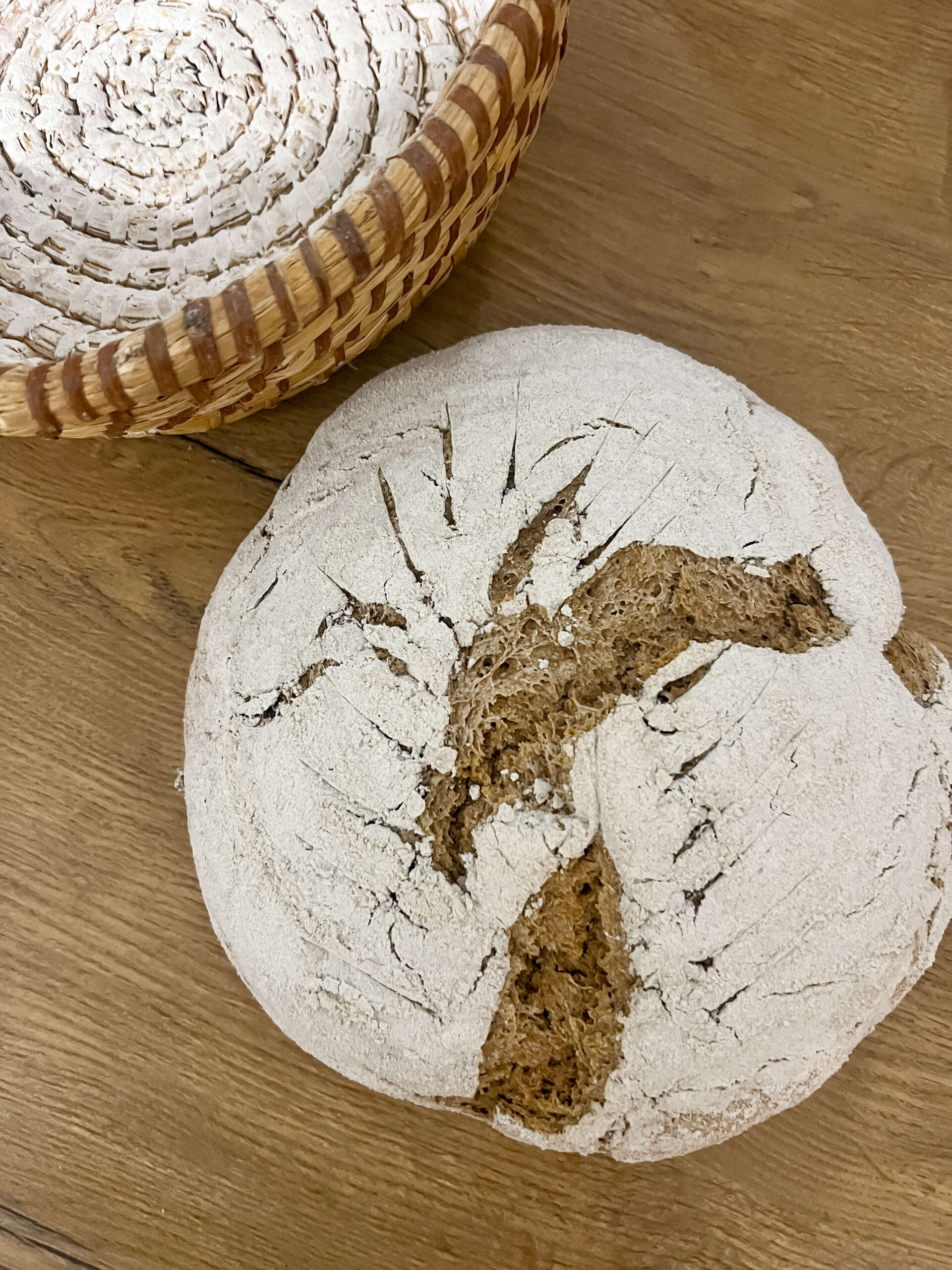 Foto 13.01.26, 06 23 41