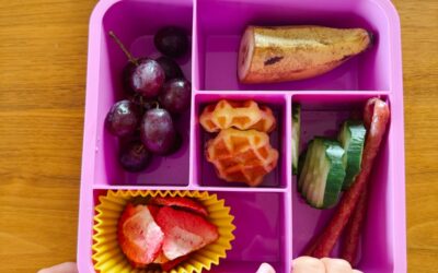 Bentoshop.de Meine Erfahrungen: Bento-Boxen und Zubehör für Schule & Kindergarten