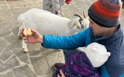 Ausflugsziele mit Kindern rund um Graz: 11 Familientipps